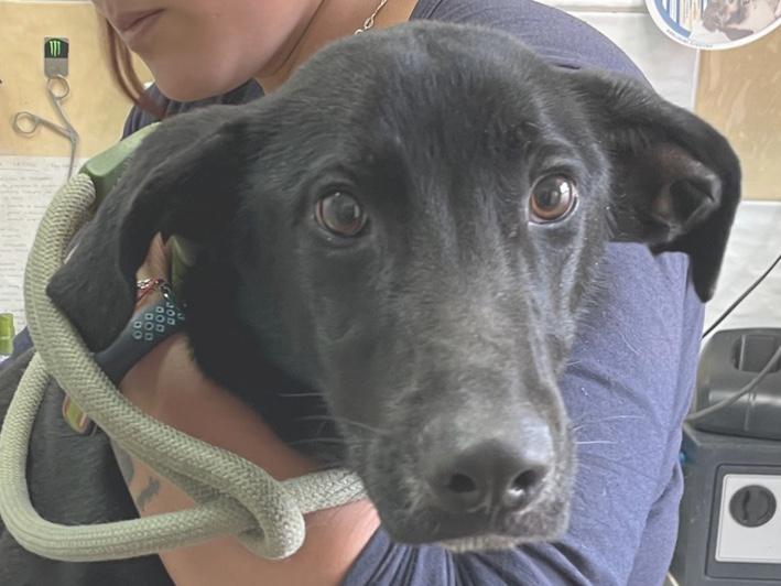 multimedia-foto81699-476-1