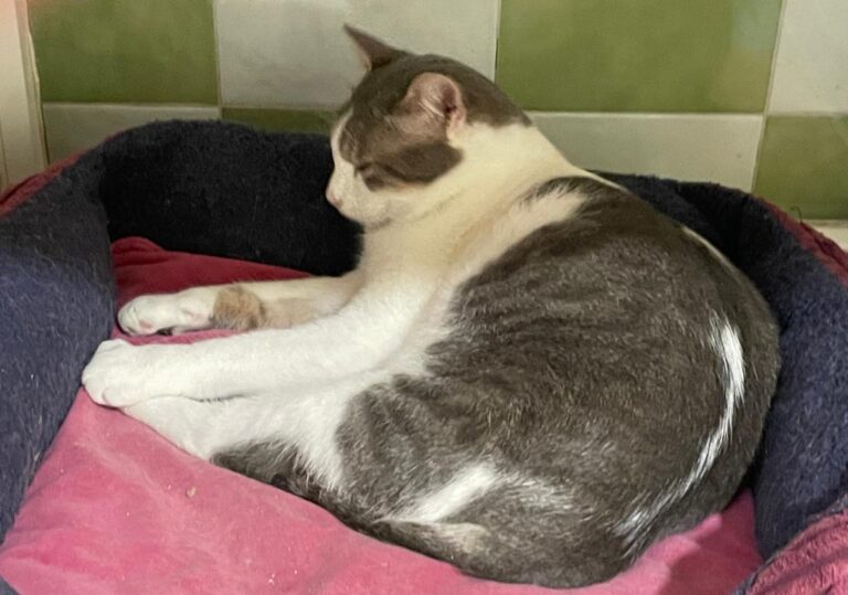 multimedia-foto81732-422-1