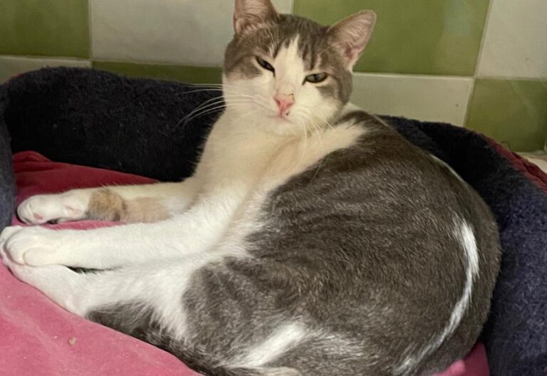 multimedia-foto81733-422-1