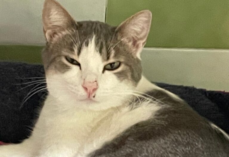 multimedia-foto81734-423-1