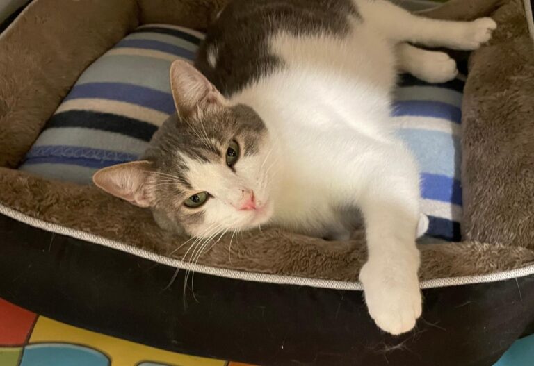 multimedia-foto81736-423-1