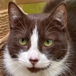 multimedia-foto81751-332-1