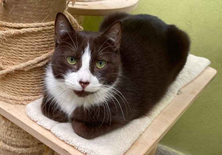 multimedia-foto81753-333-1