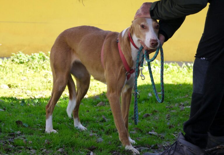 multimedia-foto81761-362-1