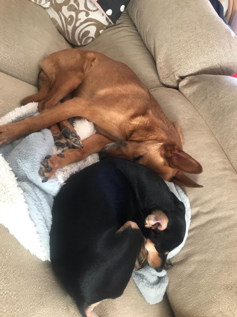 multimedia-foto81811-439-1