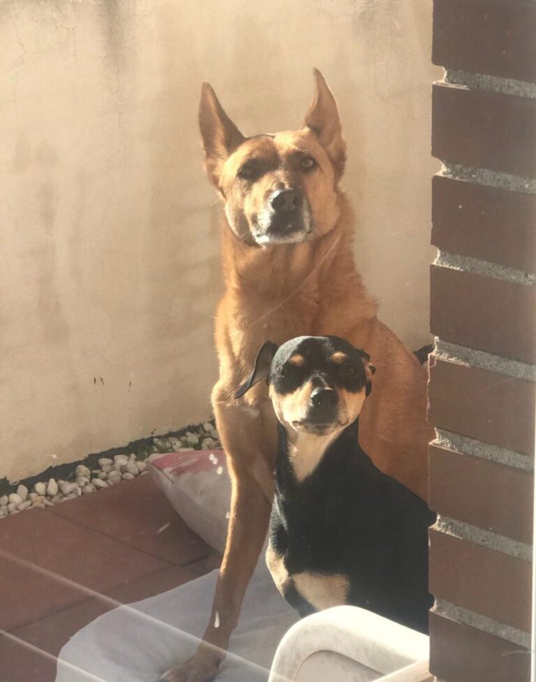 multimedia-foto81812-439-1