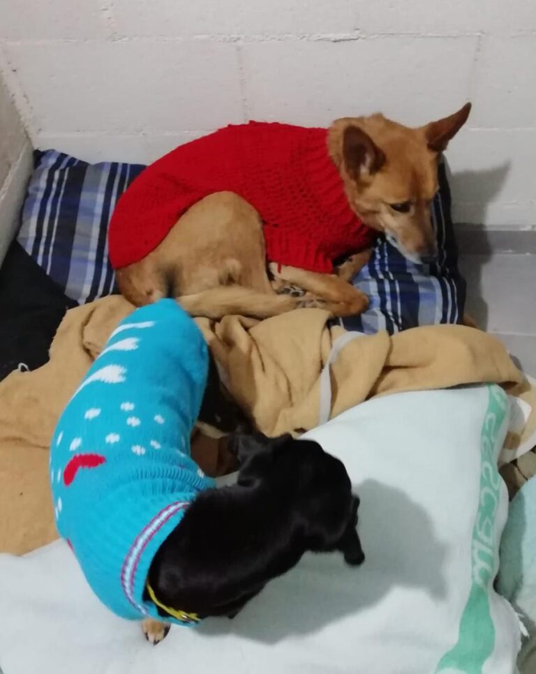 multimedia-foto81813-439-1