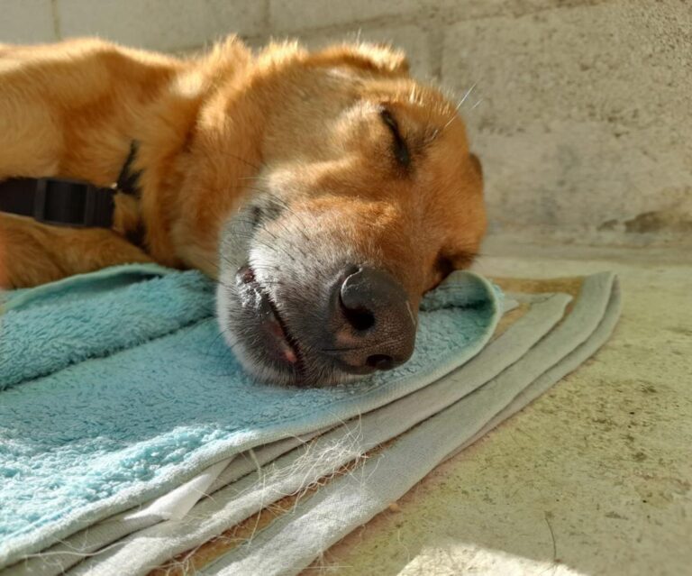 multimedia-foto81815-440-1