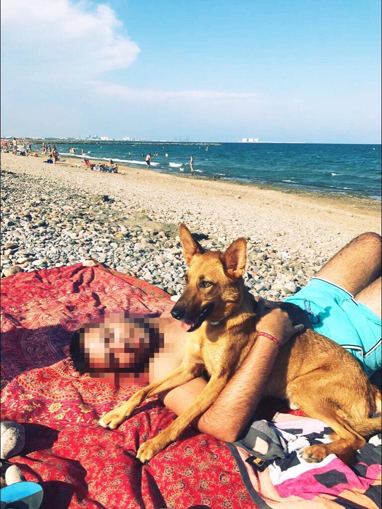 multimedia-foto81816-440-1