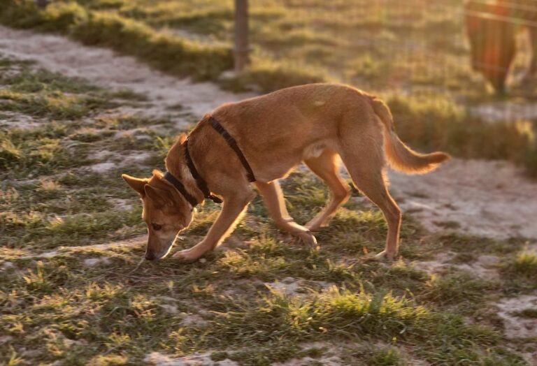 multimedia-foto81817-440-1