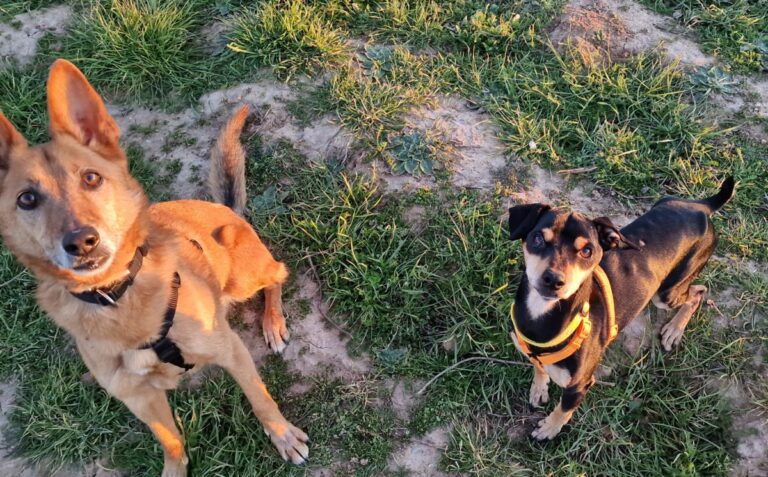 multimedia-foto81819-440-1