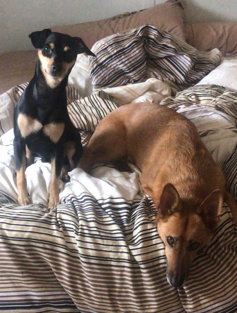 multimedia-foto81822-535-1