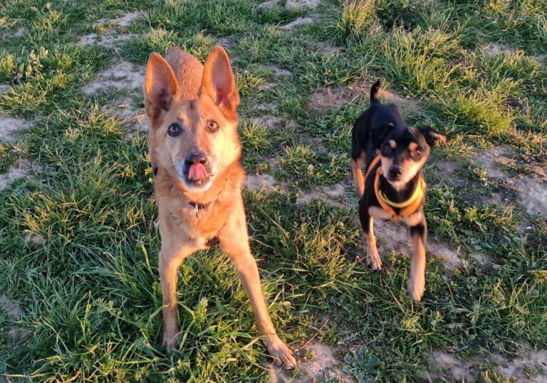 multimedia-foto81824-536-1