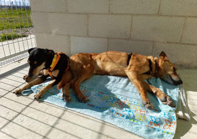 multimedia-foto81825-536-1