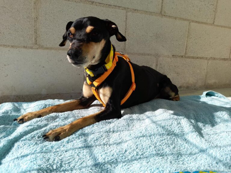 multimedia-foto81829-537-1