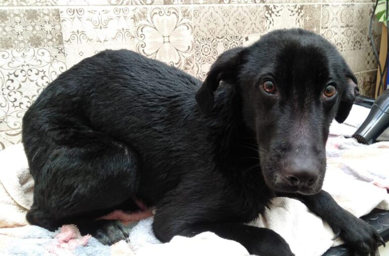 multimedia-foto81840-849-1