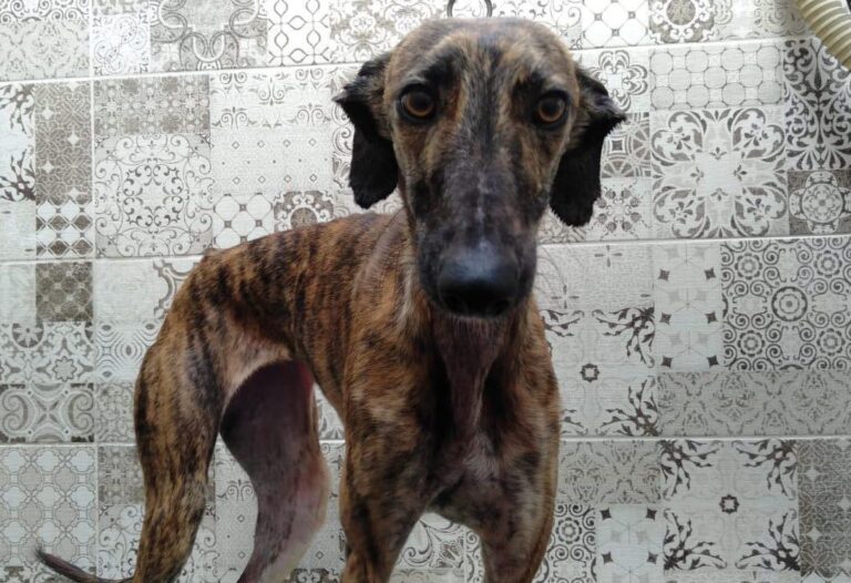 multimedia-foto81843-167-1