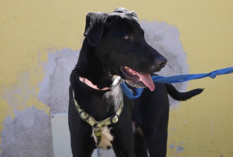 multimedia-foto81889-308-1