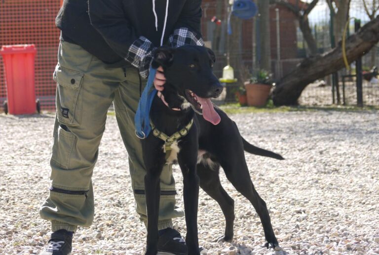 multimedia-foto81890-308-1