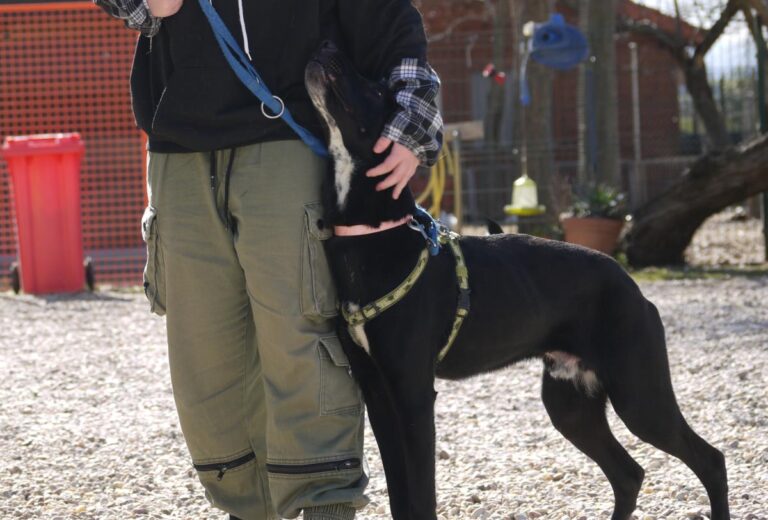 multimedia-foto81891-308-1