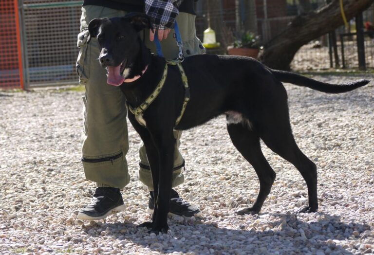 multimedia-foto81892-309-1