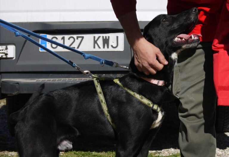 multimedia-foto81893-309-1