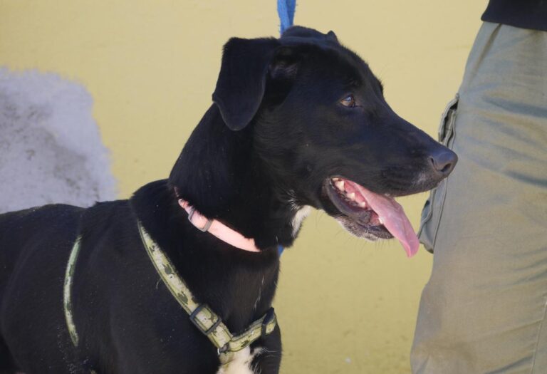 multimedia-foto81894-309-1