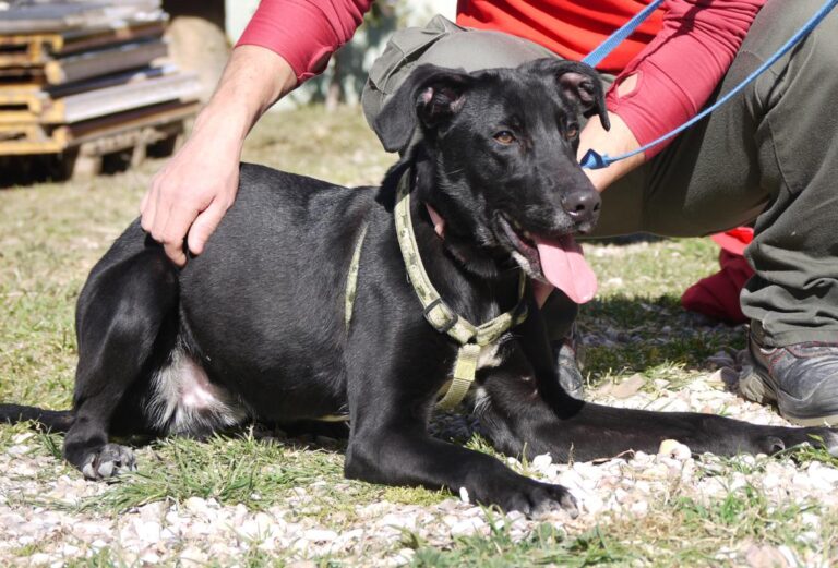 multimedia-foto81895-309-1