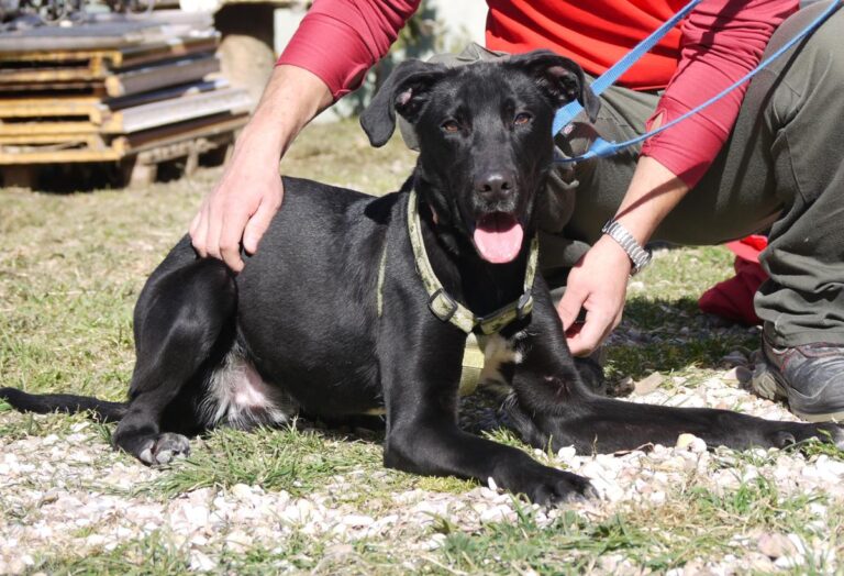 multimedia-foto81896-309-1