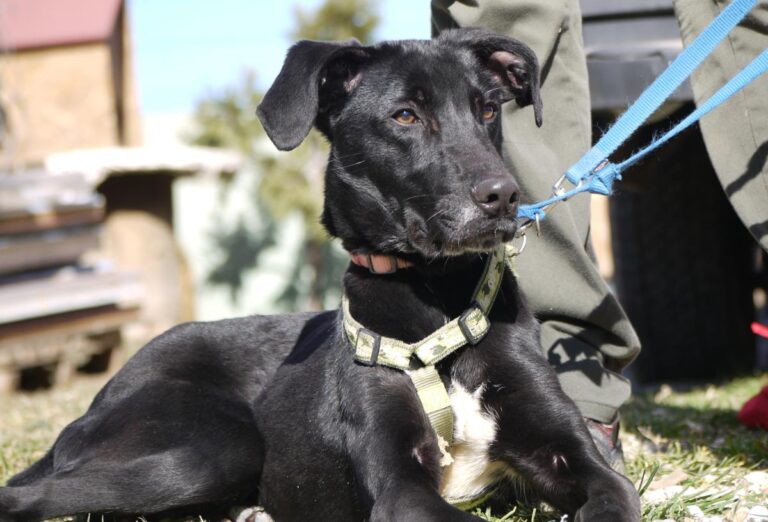 multimedia-foto81897-309-1