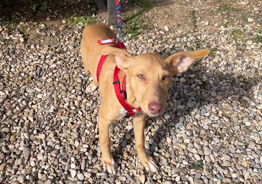 multimedia-foto81938-259-1