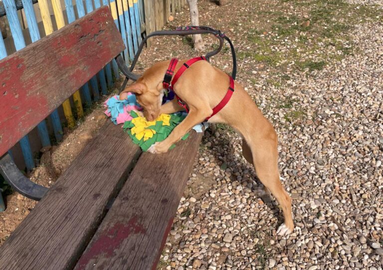 multimedia-foto81939-259-1