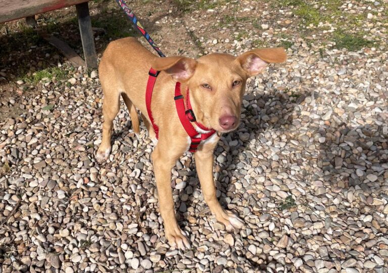 multimedia-foto81940-259-1