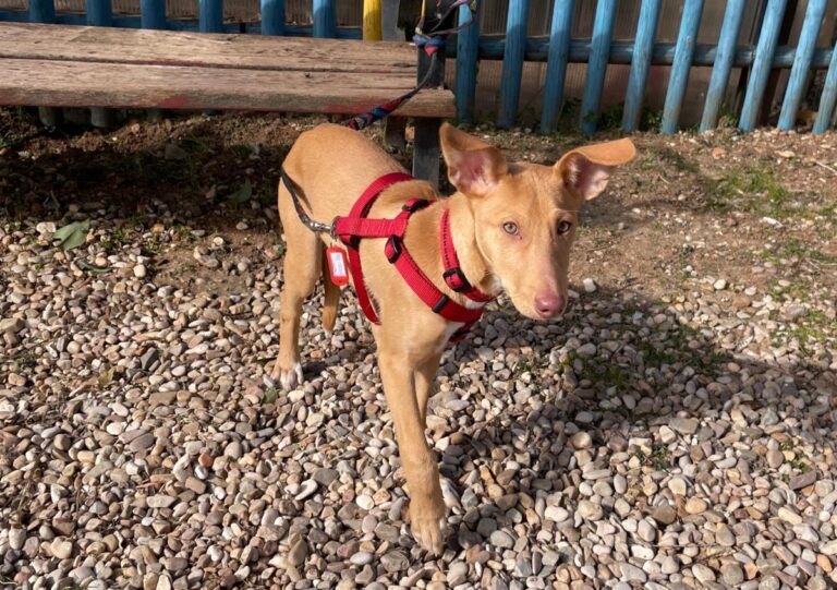 multimedia-foto81941-259-1