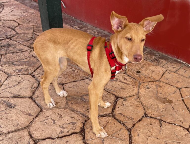 multimedia-foto81943-259-1