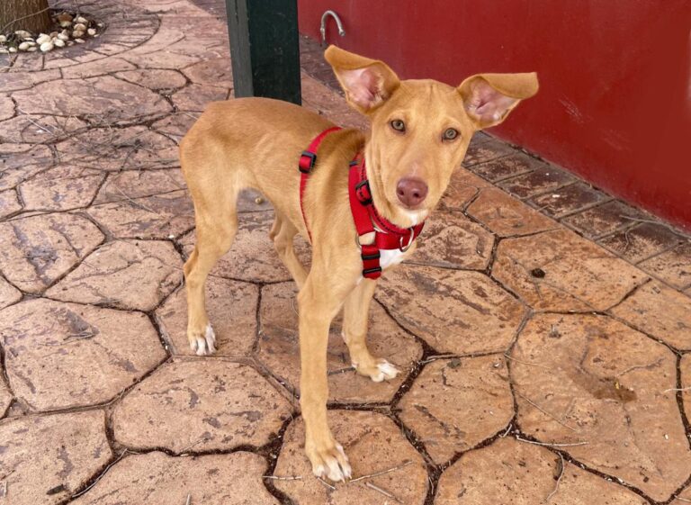 multimedia-foto81944-260-1