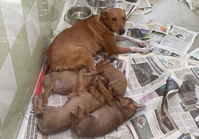 multimedia-foto81952-544-1