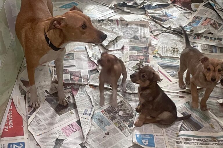 multimedia-foto81957-545-1