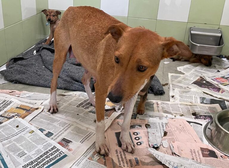 multimedia-foto81958-545-1