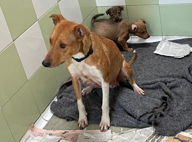 multimedia-foto81960-545-1