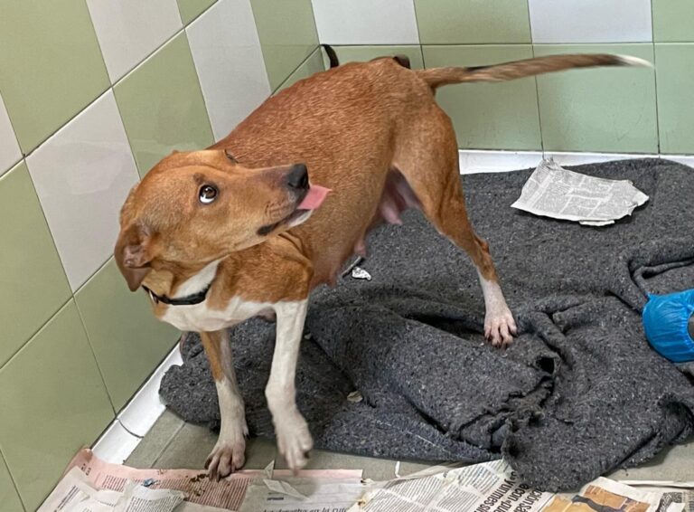 multimedia-foto81961-545-1