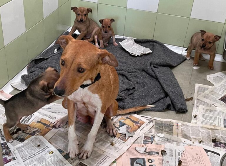 multimedia-foto81962-545-1