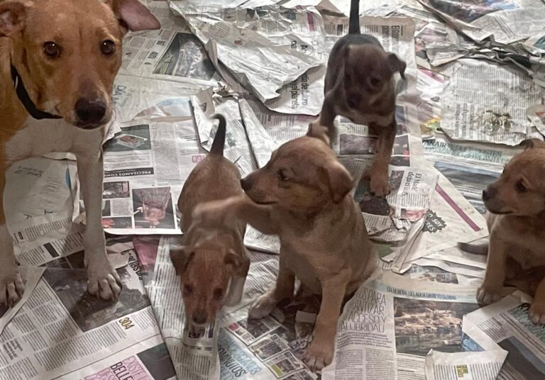 multimedia-foto81995-402-1