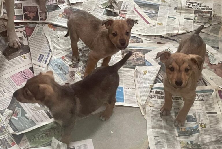 multimedia-foto81998-403-1