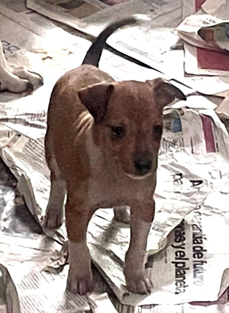 multimedia-foto81999-403-1