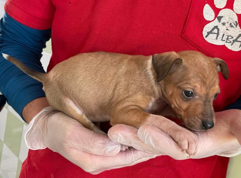 multimedia-foto82000-403-1