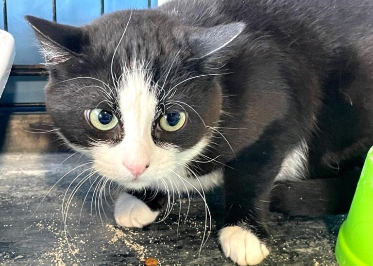 multimedia-foto82003-714-1