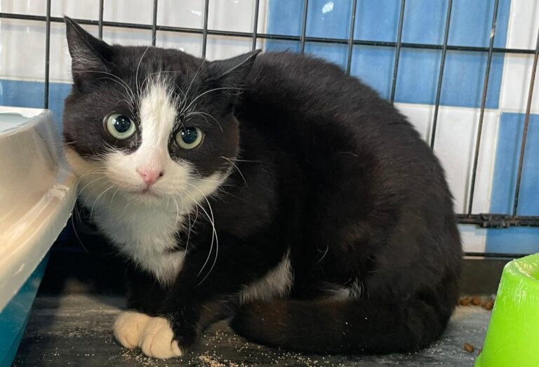 multimedia-foto82004-714-1