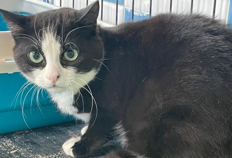 multimedia-foto82005-714-1