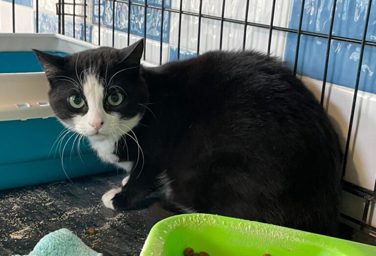 multimedia-foto82006-714-1